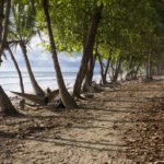 pool, rent, beach, house, Santa Teresa, Costa Rica